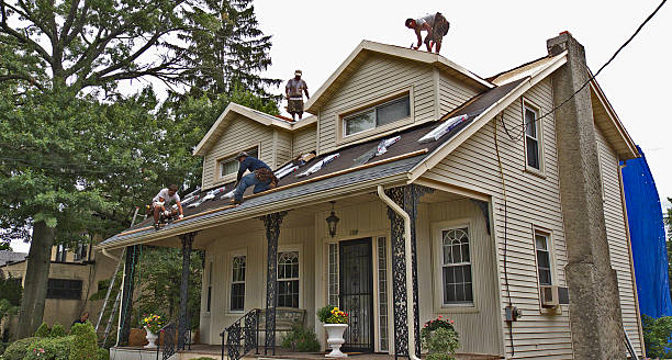 Roof Gutter Cleaning in Applewood, CO